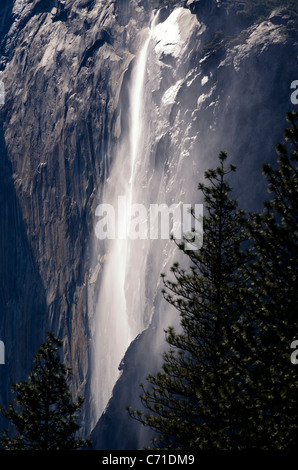 Gelegen an der Ostseite des El Capitan, ist Schachtelhalm Herbst eine saisonale Wasserfall, der im Winter und zeitigen Frühjahr in Yose Stockfoto