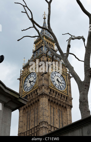 Big Ben Uhrturm mit Baum. Der hohe Clock Tower, das der berühmte Big Ben Uhr umrahmt von einem blattlosen Baum beherbergt Stockfoto