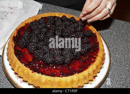 Finishing Obst berührt. Ein Blackberry befindet sich auf der Oberfläche von einem frisch gebackenem Kuchen mit Obst statt Zuckerguss verziert. Stockfoto