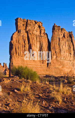 Sonnenaufgang bei der Orgelformation im Arches National Park in Utah. Stockfoto