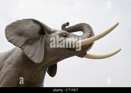 Detail der Kopf einer Statue des Jumbos der Elefant. Eine lebensgroße Statue von Jumbo Elefant in St. Thomas. Stockfoto