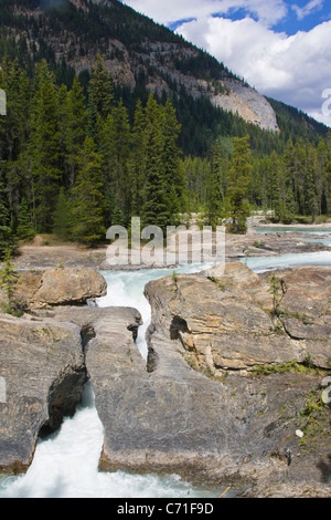 Natural Bridge ist eine natürliche Felsformation, die überspannt den Fluss der Kicking Horse River in British Columbia, Kanada. Stockfoto