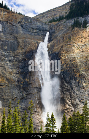 Gespeisten Wasserfälle im Yoho Nationalpark in Britisch-Kolumbien gilt als der höchste Wasserfall in den kanadischen Rockies. Stockfoto