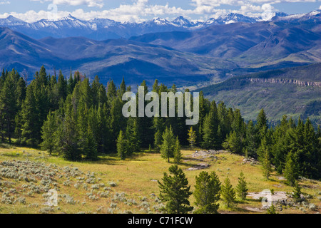 Beartooth Highway, scenic Byway, die zwischen Wyoming und Montana Beartooth Mountain Peaks bei 11.000 Fuß durchquert. Stockfoto