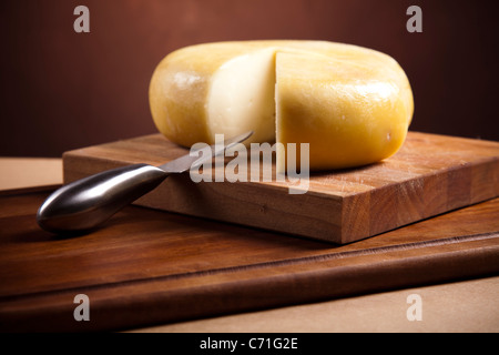 Stück Käse Stockfoto