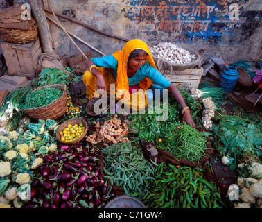 Gemüsemarkt, Jaipur, Rajasthan, Indien Stockfoto