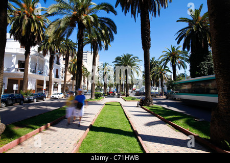 Marokko, Maghreb, Casablanca, The Boulevard de Rachidi ist typisch für die breiten, von Bäumen gesäumten Straßen im Stadtteil smart Lusitania Stockfoto