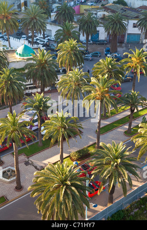 Marokko, Maghreb, Casablanca. Der Boulevard de Rachidi ist typisch für die breiten, von Bäumen gesäumten Straßen im Stadtteil smart Lusitania Stockfoto