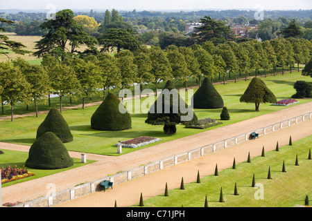 Erhöhten / Flugaufnahme Schuss / Foto von Eibe Bäume innerhalb des geheimen Gartens am Hampton Court Palace, UK. Stockfoto