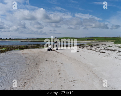 Dh Süden Wick PAPA WESTRAY ORKNEY schottischen Touristen sammeln Muscheln aus weißen Sandstrand Personen Schottland Stockfoto