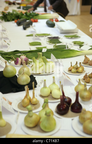 Einträge in der Show Kinghorn, Dorf, Gemüse und Blumen. Stockfoto