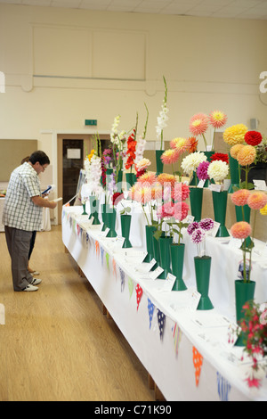 Einträge in der Show Kinghorn, Dorf, Gemüse und Blumen zu urteilen. Stockfoto