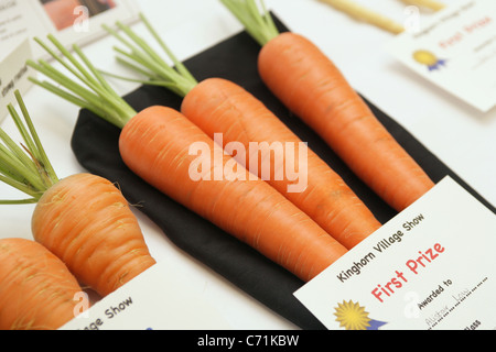 Einträge in der Show Kinghorn, Dorf, Gemüse und Blumen. Stockfoto