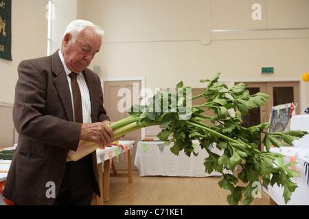 Einträge in der Show Kinghorn, Dorf, Gemüse und Blumen zu urteilen. Stockfoto