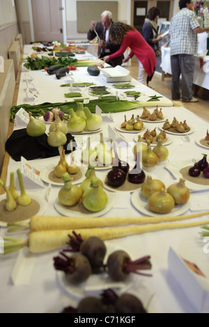 Einträge in der Show Kinghorn, Dorf, Gemüse und Blumen. Stockfoto