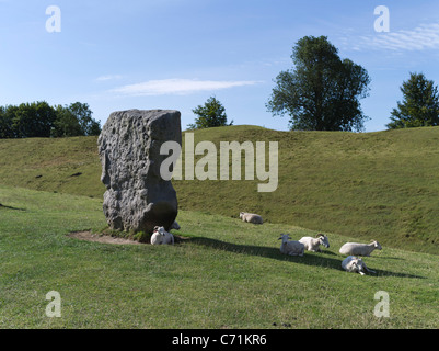 dh Avebury Stone Circle AVEBURY WILTSHIRE Schafe megalithischen stehend Stein und Kreis Erdarbeiten Graben Stockfoto