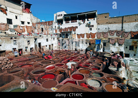 Chouwara traditionelle Leder Gerberei in alten Fes, Bottiche für Gerben und Färben von Leder Häute und Felle, Fez, Marokko, Nordafrika Stockfoto