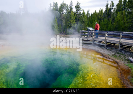 Ein Mann liest die interpretierenden Zeichen am Morning Glory Pool im Yellowstone-Nationalpark, Wyoming. Stockfoto