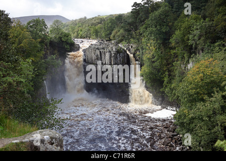 Des Flusses Tees bei hoher Kraft Wasserfall in Flut Bedingungen oberen Teesdale County Durham UK Stockfoto