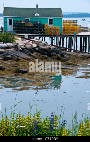 Stadt von Stonington Küste von Maine, USA Stockfoto