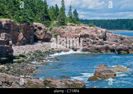 Felsige Küste neben Thunder Hole Acadia Nationalpark Maine Stockfoto