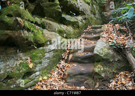 geschnitzte Steintreppen im bemoosten Sandstein in Natural Bridge State Park, Kentucky Stockfoto