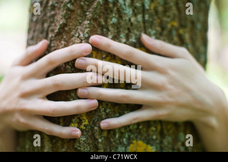 Weibes Hände umarmen Baum Stockfoto