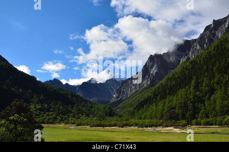 Berge und Wald bei Yading Nature Reserve. Daocheng, Sichuan, China. Stockfoto