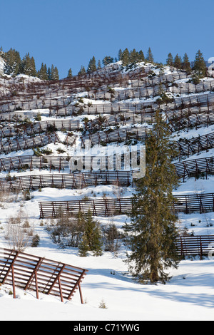 SCHUTZZAUN, LAWINENSCHUTZ, IN DER NÄHE VON SCHRÖCKEN, VORARLBERG, ÖSTERREICH Stockfoto