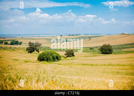Summer countryside landscape at Karatas, in Turkey. Stockfoto