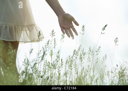 Junge Frau Hand berühren hohe Gräser Stockfoto