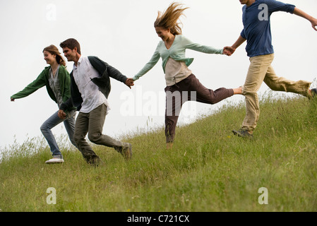Junge Erwachsene auf Wiese, Hand in Hand laufen Stockfoto
