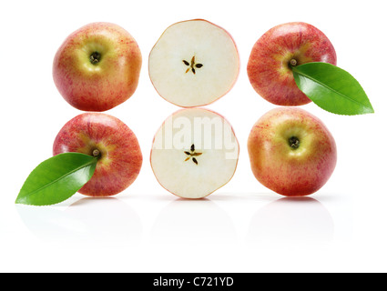 Reihen von Gala Apfel Stockfoto