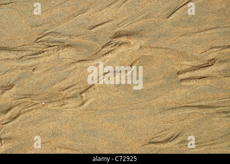 Bäche von Wasser in Strand bei Ebbe Sand, Florenz Bay, Magnetic Island, Queensland, Australien Stockfoto