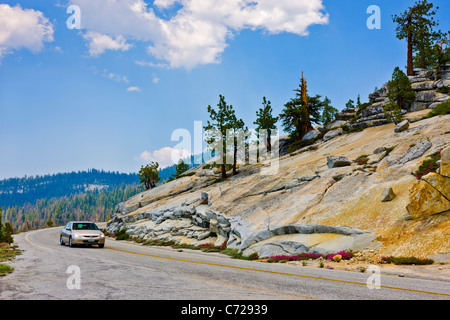 Vergletscherten Bergen neben Tioga Road, Yosemite-Nationalpark, USA. JMH5272 Stockfoto