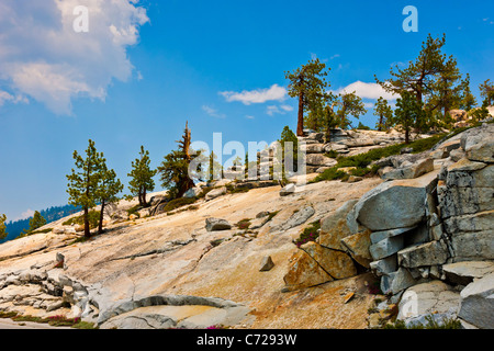 Vergletscherten Bergen neben Tioga Road, Yosemite-Nationalpark, USA. JMH5273 Stockfoto