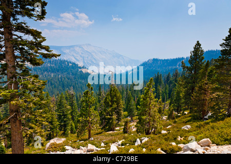 Blick auf Yosemite Valley zum Half Dome von Tioga Road, Yosemite-Nationalpark, USA. JMH5282 Stockfoto