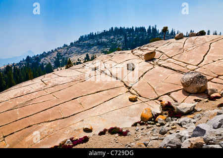 Vergletscherte Berg mit Felsbrocken und Grykes mit Half Dome in der Ferne. Tioga Road, Yosemite-Nationalpark. JMH5285 Stockfoto