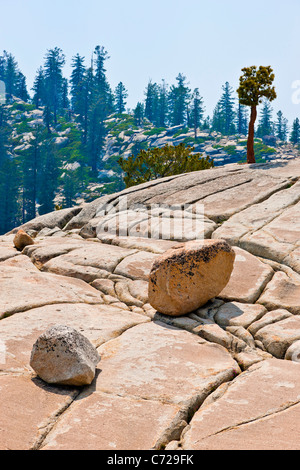 Vergletscherte Berg mit Felsbrocken und Grykes oder Risse neben Tioga Road, Yosemite-Nationalpark, USA. JMH5288 Stockfoto