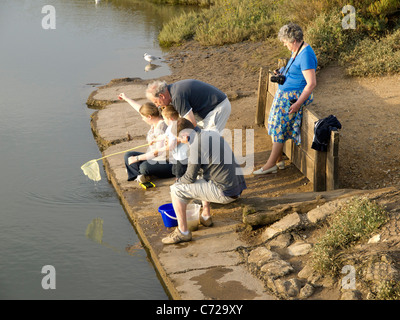 Eine Familie Fischerei Krebse in Dornweiler Creek Norfolk UK Stockfoto