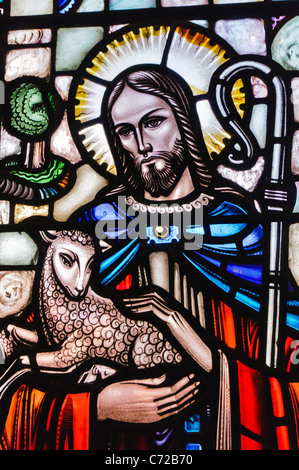 Glasfenster in der Kirche zeigt Jesus hält ein Lamm und dargestellt als ein Hirte Stockfoto