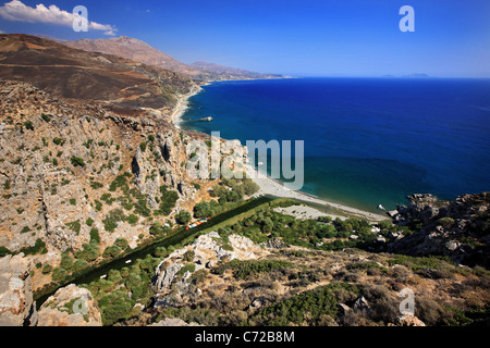 Panoramische Ansicht der berühmten Palmenstrand von Preveli am Ausgang der Schlucht Kourtaliotis, Rethymno, Süd Kreta, Griechenland. Stockfoto