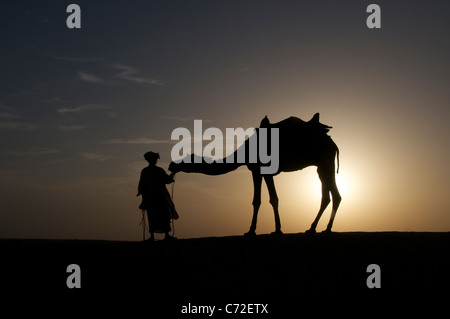 Silhouette Mensch und Kamel bei Sonnenuntergang Sam Dünen Desert National Park westlichen Rajasthan Indien Stockfoto