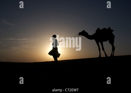 Silhouette Mann an der Spitze Kamele bei Sonnenuntergang Sam Dünen Desert National Park westlichen Rajasthan Indien Stockfoto