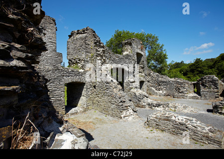 Newcastle Emlyn Burg (Castell Newydd Emlyn) Carmarthenshire, Wales, UK Stockfoto