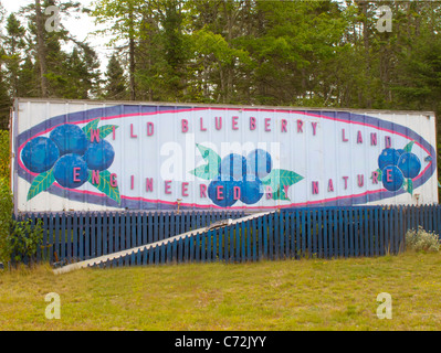 Wild Blueberry Land-Store auf Route 1 in Columbia Falls, Maine Stockfoto