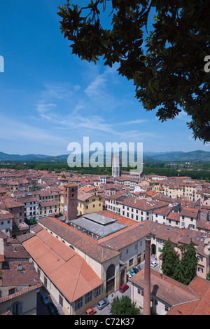 Blick von Lucca, Italien von der 44 meter hohe Torre Guinigi, der wichtigste Turm in der Stadt damals und heute. Stockfoto