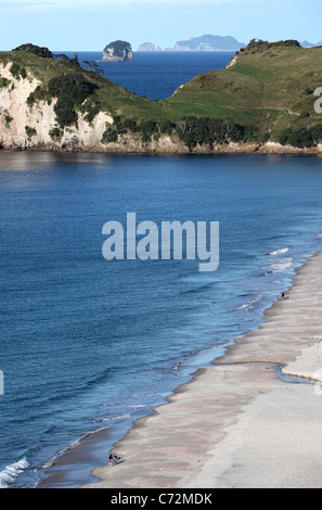 Hahei Strand, Coromandel Halbinsel, Waikato, North Island, Neuseeland, Australien Stockfoto