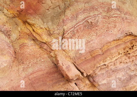 Die sedimentären Schichten der Wealden Betten, offenbart in der Unterkreide Klippen an der Worbarrow Bucht auf der Jurassic Coast. Dorset, England, Vereinigtes Königreich. Stockfoto