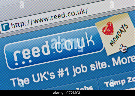 Nahaufnahme von der Reed-Logo, wie auf ihrer Website zu sehen. (Nur zur redaktionellen Verwendung: print, TV, e-Book und redaktionelle Webseite). Stockfoto